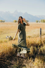 Taylor in Vintage Herb
