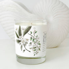 Jasmine and Orange Blossom Candle  - Just Bee Candles: 7 oz (up to 40 hrs of clean burning)