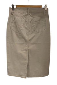 Light Grey Mid-length Skirt 068-12F